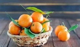 成都云立方吃瓜,揭秘网红美食背后的“吃瓜”故事