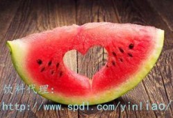 羊肉可以和茄瓜一起吃么,营养互补的佳肴组合