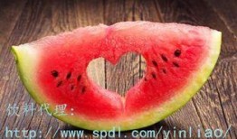 羊肉可以和茄瓜一起吃么,营养互补的佳肴组合