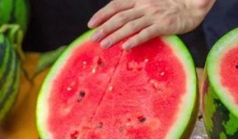 范椰吃瓜,揭秘娱乐圈幕后故事