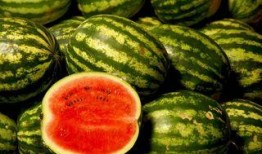 中国不缺吃瓜的,瓜田里的欢乐盛宴