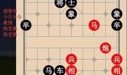 吃瓜象棋柳大华,揭秘棋坛风云背后的趣味故事