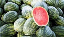 全球吃瓜局香港,聚焦香港风云变幻