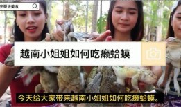 越南姐姐吃瓜,一场别开生面的美食探险