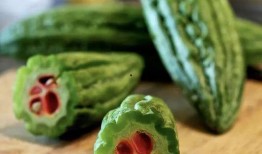 任倩雯吃瓜,揭秘娱乐圈幕后故事