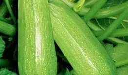 吃瓜多多,一场全民娱乐盛宴