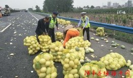 鲁山吃瓜群众,揭秘当地独特民俗风情