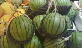 小熙吃瓜,揭秘娱乐圈那些不为人知的幕后故事