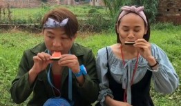 社区的吃瓜比赛,一场舌尖上的吃瓜盛宴