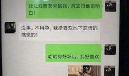 吃瓜小渣女,揭秘娱乐圈背后的秘密与真相