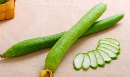 哺乳妈妈可以吃瓠瓜,营养与健康的完美结合