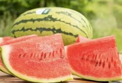 吃瓜不要钱有什么好处,揭秘免费瓜子的五大益处