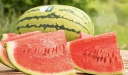 吃瓜不要钱有什么好处,揭秘免费瓜子的五大益处