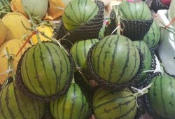 广角吃瓜,揭秘网络舆论场中的众生相