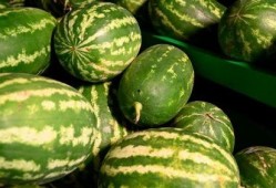 西昌12度吃瓜,尽享清凉吃瓜时光