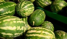 西昌12度吃瓜,尽享清凉吃瓜时光