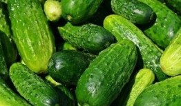 小珏吃瓜,揭秘娱乐圈那些不为人知的幕后故事