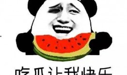 一个没有瓜吃的吃瓜群众,见证人间百态