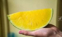 吃瓜哥超级水果,营养与美味的完美结合