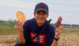 郭晓东吃瓜,娱乐圈的“瓜田”再起波澜