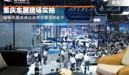 重庆车展吃瓜,明星云集，笑料百出，车展背后的趣味故事