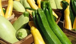 吃瓜222,揭秘吃瓜222背后的故事与影响