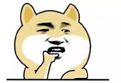 吃瓜就得这样吃太呆了,告别呆萌，轻松解锁吃瓜新姿势