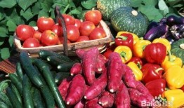 哺乳妈妈可以吃瓠瓜,营养与健康的完美结合