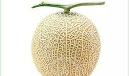 网上吃瓜头像,从吃瓜头像看流行文化演变