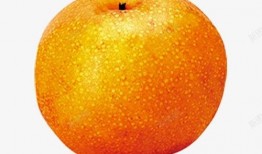 橘子吃瓜素材,探寻橘子与西瓜的奇妙缘分