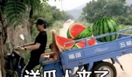 林先生表哥吃瓜,揭秘娱乐圈幕后故事