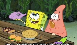 神奇海螺日记吃瓜,揭秘吃瓜背后的秘密世界