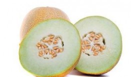 孕妇吃蜜瓜呕吐,孕期饮食小贴士