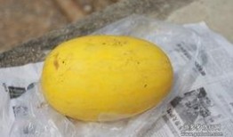 黄皮损瓜怎么吃,营养美味两不误的食用指南