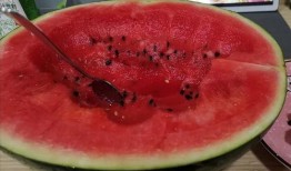 吃瓜喷水,揭秘网络舆论场的趣味与争议