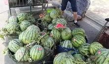 萍乡吃瓜事件,一场网络热议背后的真相与反思