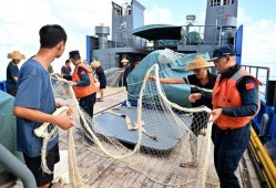 中国渔民吃瓜新闻,引发全民热议