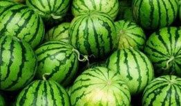 心脏疼吃凉瓜,天然食疗新发现