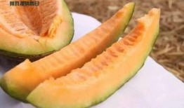 吃瓜喽配乐,跟随“吃瓜喽”旋律，探寻夏日清凉时光