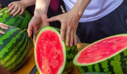 山东济南学校吃瓜,揭秘校园里的那些“瓜”