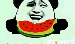 吃瓜视频是什么梗,网络热梗背后的文化现象